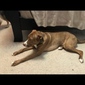 Meet your Posher, Symone